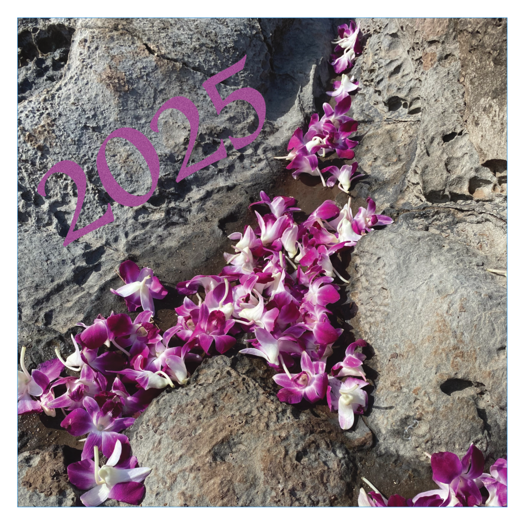 2025 Calendar Cover with pink orchids on the rocks.